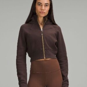 Scuba Full-Zip
Cropped Hoodie
Espresso
Size 8